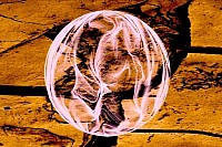 Voyance